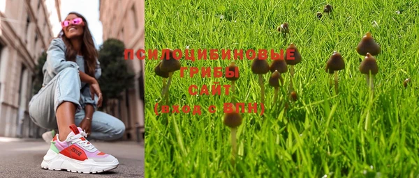 спиды Осинники