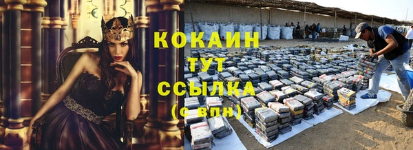 молекула духа Арсеньев