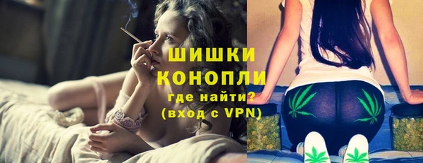 Альфа ПВП Аркадак